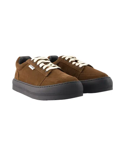 Sunnei Sneakers Dreamy -  - Leather - Chocolate In Black