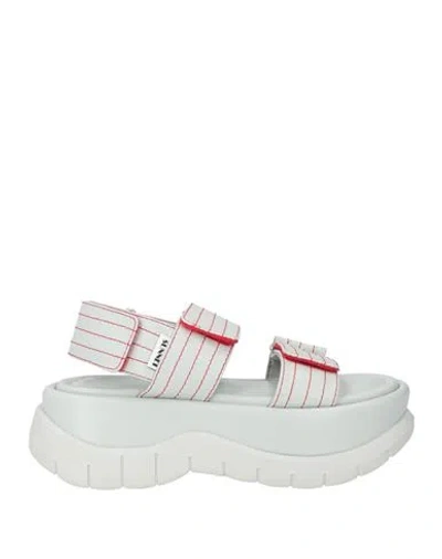Sunnei Woman Sandals Light Grey Size 6 Leather In Multi