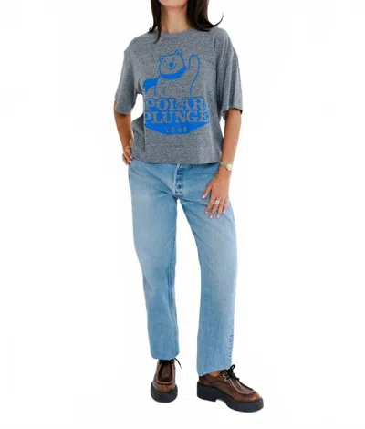 Sunny Somewhere Polar Plunge Boyfriend Tee In Grey In Multi