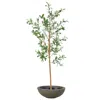 Sunnydaze Artificial Olive Tree Tall Faux Silk Plant With Round Planter - 5 Ft