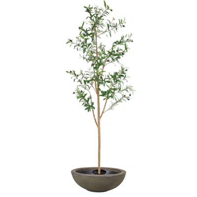 Sunnydaze Artificial Olive Tree Tall Faux Silk Plant With Round Planter - 6 Ft