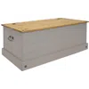 Sunnydaze Indoor Trunk With Handles - Solid Pine Construction - 39.5" W