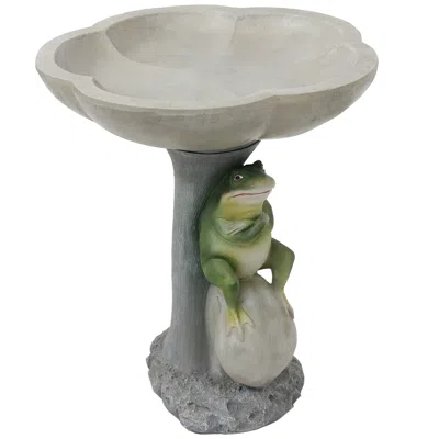 Sunnydaze Outdoor Whimsical Garden Patio Yard Polyresin Grumpy Brooding Frog Sitting On Stone Bird Bath - 22"