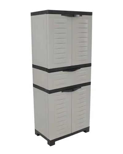 Sunnydaze Storage Cabinet With 2 Adjustable Shelves In Gray