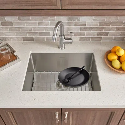 Sunnypoint Large Stainless Rack For Sink