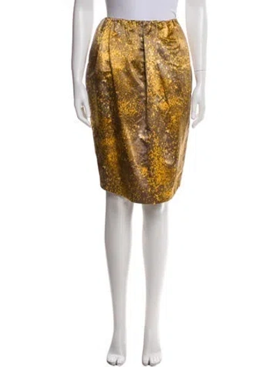 Pre-owned Suno Printed Knee-length Skirt In Blue