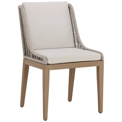 Sunpan Sorrento Dining Chair Drift Brown Palazzo Cream In Gray