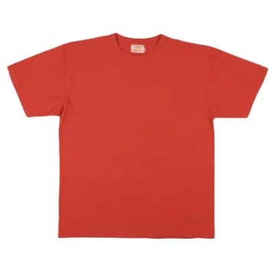 Sunray Sportswear Haleiwa T-shirt Fire Whirl In Red