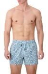 Sunset X Vine Abstract Print Swim Trunks