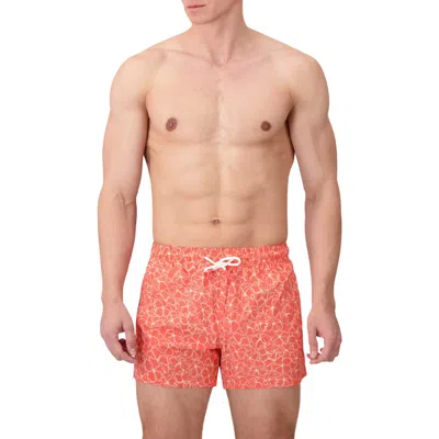 Sunset X Vine Floral Swim Trunks In Orange