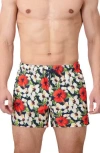 Sunset X Vine Floral Swim Trunks