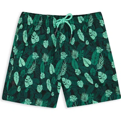 Sunset X Vine Leaf Print Swim Trunks