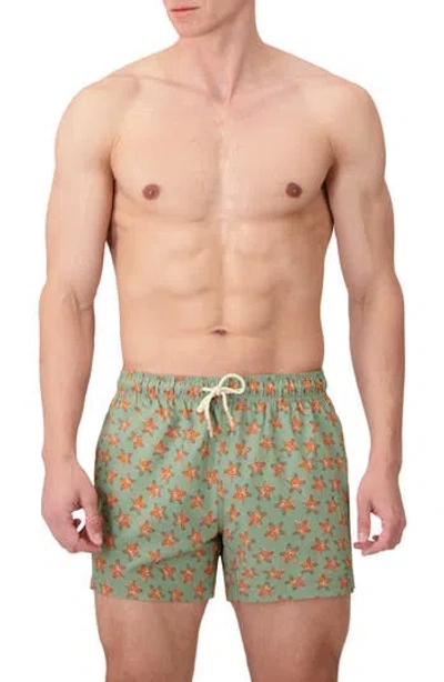 Sunset X Vine Sea Star Print Swim Trunks In Green