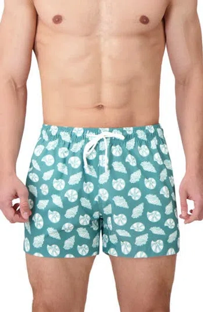 Sunset X Vine Seashell Print Swim Trunks In Blue