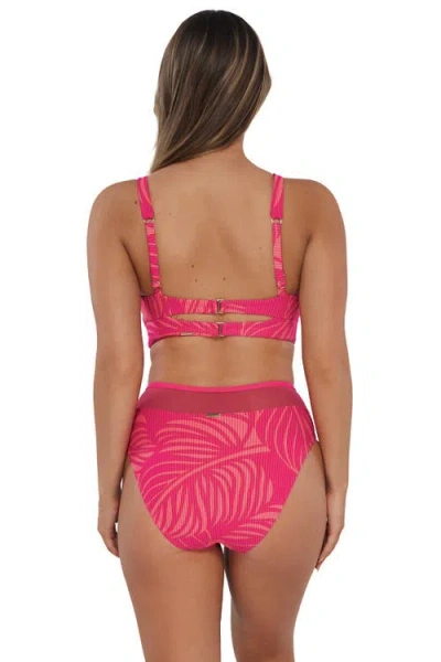 Sunsets Annie High Waist Bikini Swim Bottoms In Blushing Palms Sandbar Rib