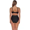 Sunsets Arlene High Waist Bikini Swim Bottoms With Tummy Control In Black