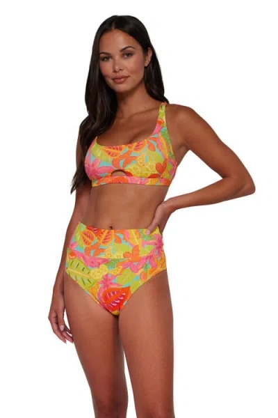 Sunsets Brandi Bralette Bikini Swimsuit Top In Sand
