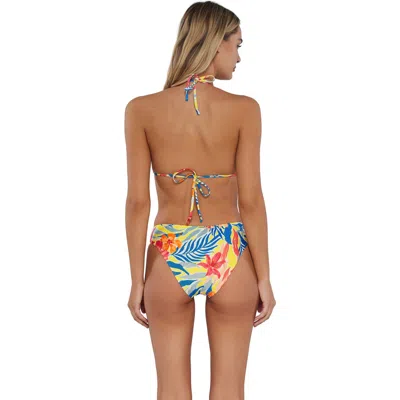 Sunsets Collins Hipster Bikini Swim Bottoms In Island Spice