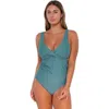 Sunsets Elsie Tankini-dd Cup In Ocean
