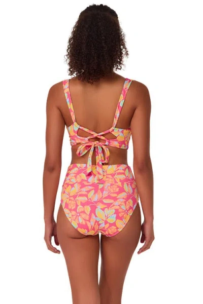 Sunsets Hannah High Waist Bikini Swim Bottoms In Multi