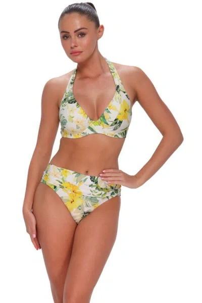 Sunsets Muse Halter Bikini Swimsuit Top In Multi