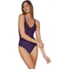 Sunsets Veronica One Piece In Paradise Plum