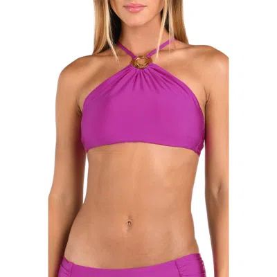 Sunshine 79 Solids High Neck Bikini Top In Purple