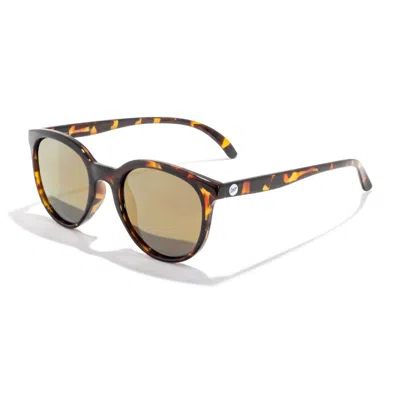 Sunski Women's Makani Round Sunglasses In Tortoise Flash Gold In Multi