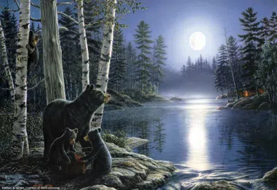 Sunsout Bear Necessities 1000 Piece Jigsaw Puzzle For Adults In Blue