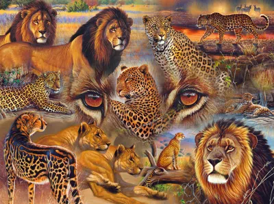 Sunsout Big Cats Of The Plains 500 Piece Jigsaw Puzzle For Adults In Multi