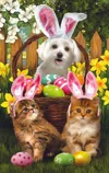 Sunsout Easter Bunny In Training 300 Piece Jigsaw Puzzle For Adults Easter In Multi