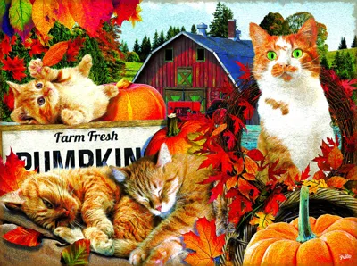 Sunsout Farm Fresh Pumpkins 300 Piece Jigsaw Puzzle For Adults Halloween In Multi
