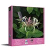 Sunsout Finding Nectar 550 Piece Jigsaw Puzzle For Adults In Pink