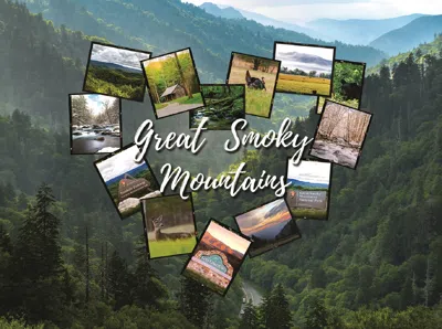 Sunsout Great Smoky Mountains Love 1000 Piece Jigsaw Puzzle For Adults In Multi