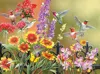 Sunsout Hummingbirds At The Gate 500 Piece Jigsaw Puzzle For Adults In Multi