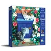 Sunsout Mail Box Kittens 1000 Piece Jigsaw Puzzle For Adults In Multi