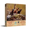 Sunsout Nature's Song 500 Piece Jigsaw Puzzle For Adults In Multi
