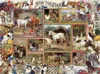 Sunsout On The Farm 300 Piece Jigsaw Puzzle For Adults In Multi