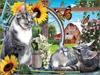 Sunsout Out Of Reach 300 Piece Jigsaw Puzzle For Adults In Multi