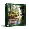 Sunsout Quiet Forest 1000 Piece Jigsaw Puzzle For Adults In Multi