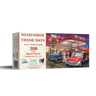 Sunsout Remember Those Days 300 Piece Jigsaw Puzzle For Adults In Multi