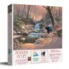 Sunsout Seasons Of Life 1000 Piece Jigsaw Puzzle For Adults In Multi