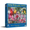 Sunsout Songbirds And Cosmos 500 Piece Jigsaw Puzzle For Adults In Multi