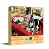 Sunsout Who Let The Cats Out 1000 Piece Jigsaw Puzzle For Adults In Multi