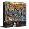Sunsout Zebras And Friends 500 Piece Jigsaw Puzzle For Adults Large Pieces In Multi