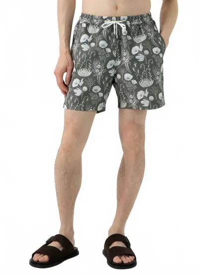 Sunspel Katie Scott Leaf Print Short In Pale Khaki In Black