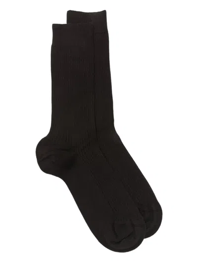 Sunspel Ribbed Socks In Brown