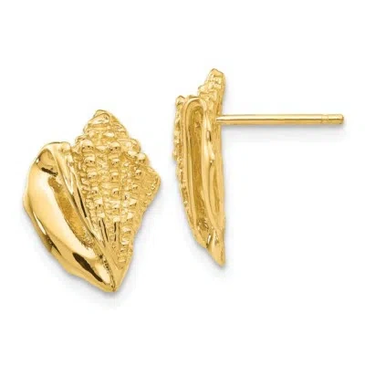 Pre-owned Superdealsforeverything Real 14kt Yellow Gold Conch Shell Earrings