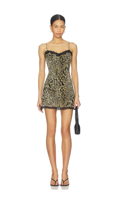 Superdown Assa Mini Dress In Black