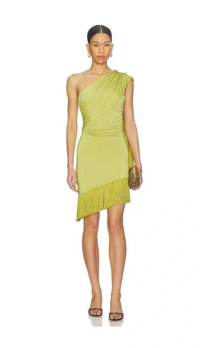 Superdown Demi Fringe Dress In Green